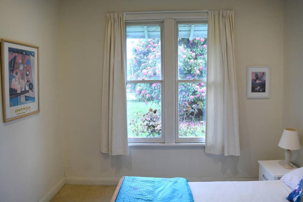 Riverlea Cottage - Cosy, Comfy, Quiet, Central Таумарунуі Екстер'єр фото