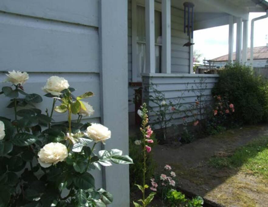Riverlea Cottage - Cosy, Comfy, Quiet, Central Таумарунуі Екстер'єр фото